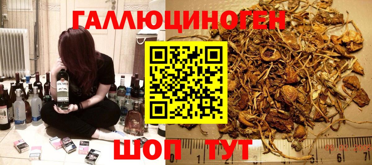 Галлюциногенные грибы Psilocybe Муравленко